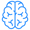 brain